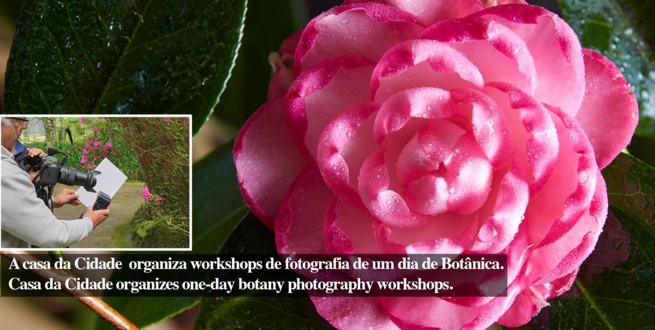 Casadacidade Ponta Delgada  Luaran gambar